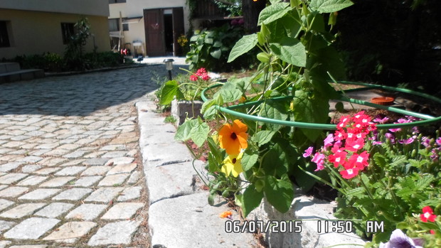 Widok na skromny wjazd do garażu i pod wiatę