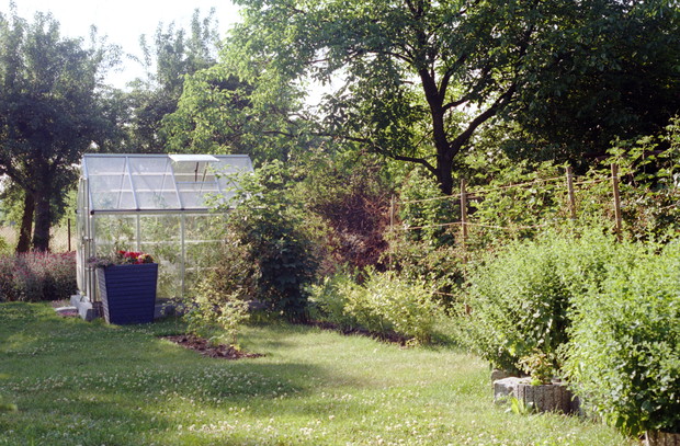 Widok na szklarnię.
