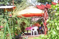 Winnice widok na pawilon z tarasem ogrodowym. Motto: winnice jak nie posadzi pradziadek to wnuk będzie biedakiem. Mnie się udało zebrać sporo gron po 3 roku. W tym będzie to najlepsze co się z nich robi - wino.