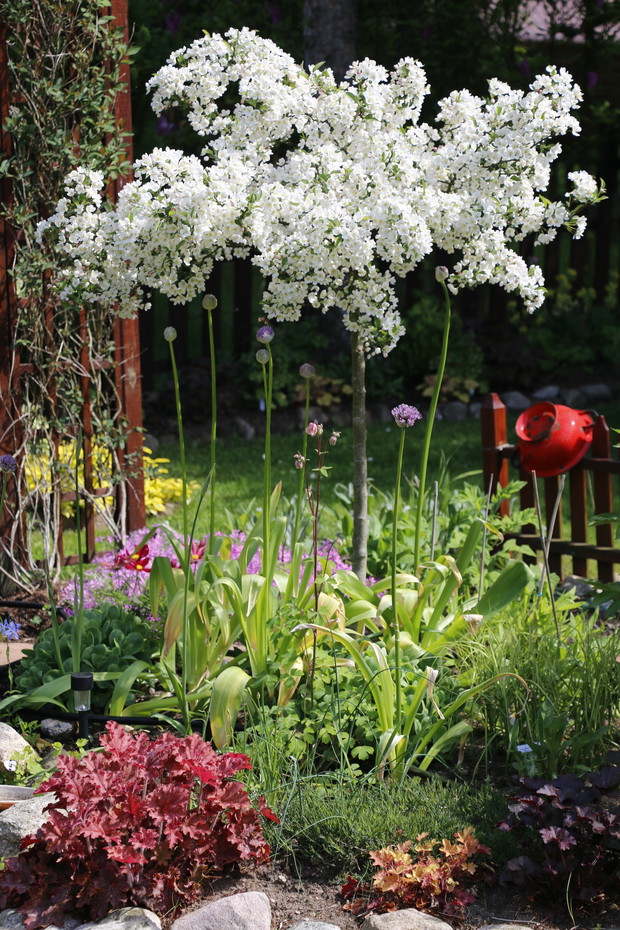 Wiosna, wiosna, wiosna ach to Ty...