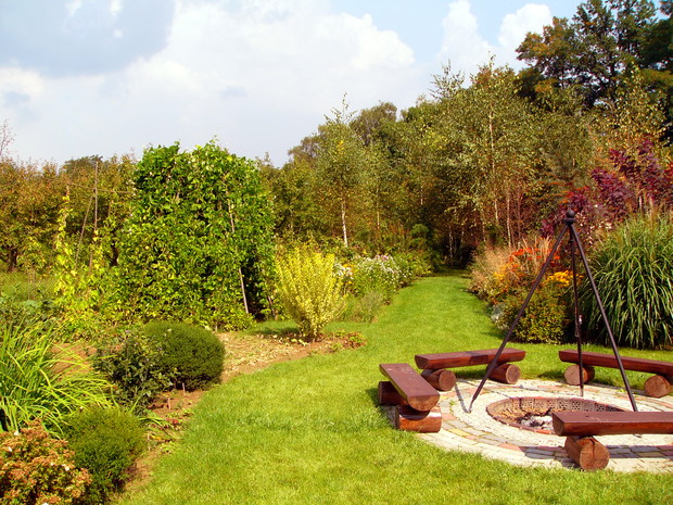 Zagajnik i miejsce na ognisko