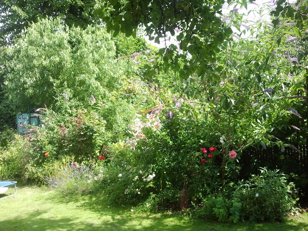 Zakątek mitologiczny. Róże i byliny o nazwach z mitologii greckiej czy rzymskiej. Jest tu przepiękna róża Aphrodite, obok niej Artemis, niedaleko pokazuje się pięknie pachnąca lilia Nymph.