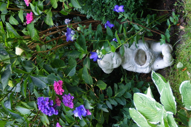 Zakątek ogrodniczki