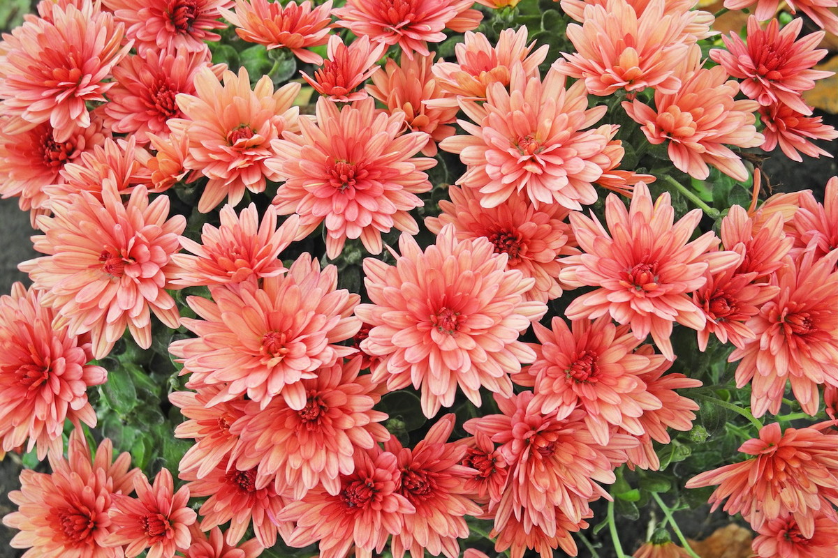 (zdj.: Fotolia.com)