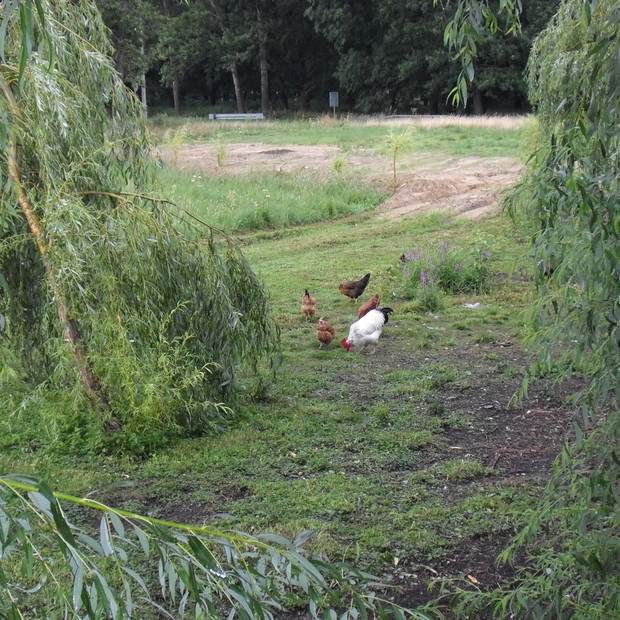 dalsza część do zagospodarowania