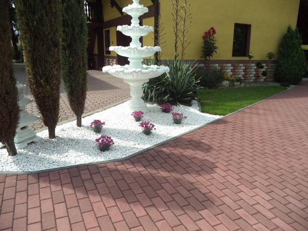 Fontanna i goździki