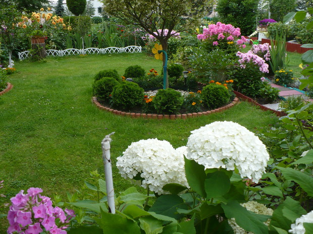 Fotografia ukazuje inną część ukwieconego ogrodu.