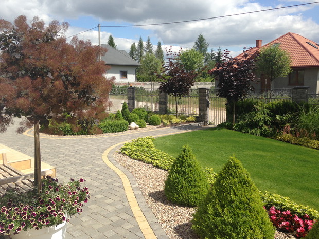 Frontowa rabata z bukszpanami widziana od strony ławeczki i perukowiec który rośnie w donicy