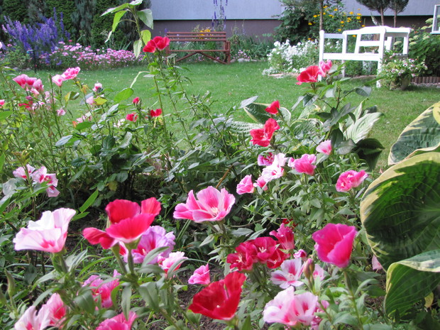 Godecje w moim ulubionym kolorze.