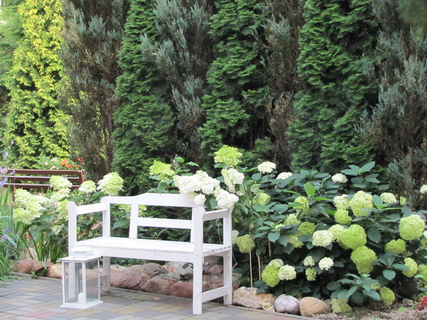 Hortensje witają gości.