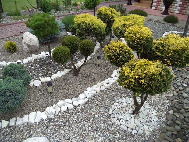 Iglaki, za obwódki posłużyła bryła lastryko