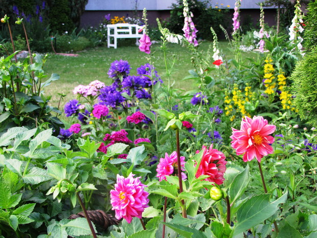 Jedna z czerwcowych  rabat.