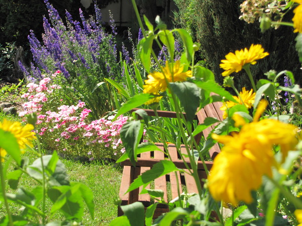 Jedna z kilku ławeczek znajdujących się w  ogrodzie.