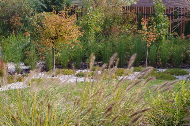 Jesień jest piękna