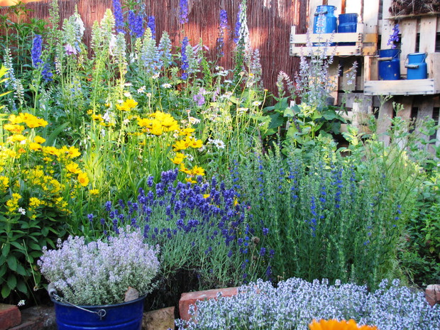 Kącik z niebiesko- żółtą dominacją barw.