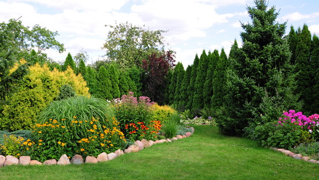 kompozycja z trawami