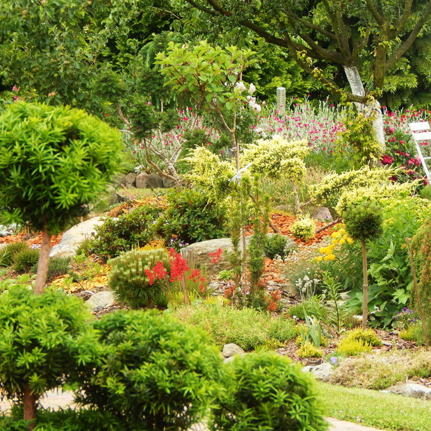 Kule cisa, drzewa owocowe i malowniczy skalniak