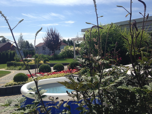 Latem w tym miejscu rozkładamy basen