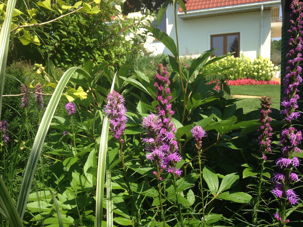 Latry przy placu zabaw