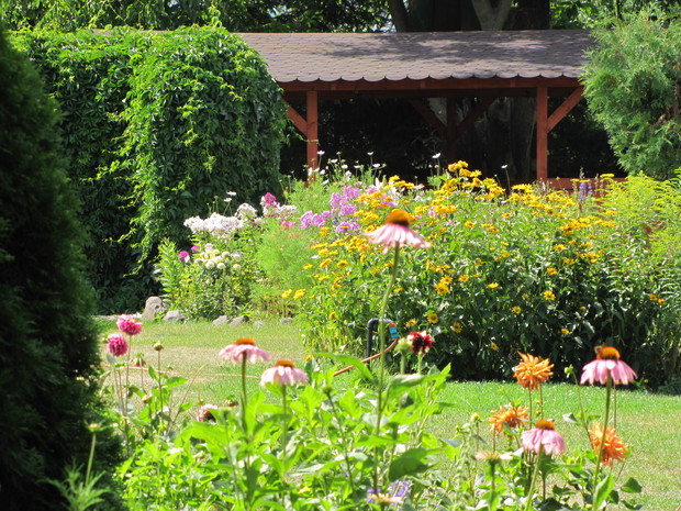 Lipiec w ogrodzie.