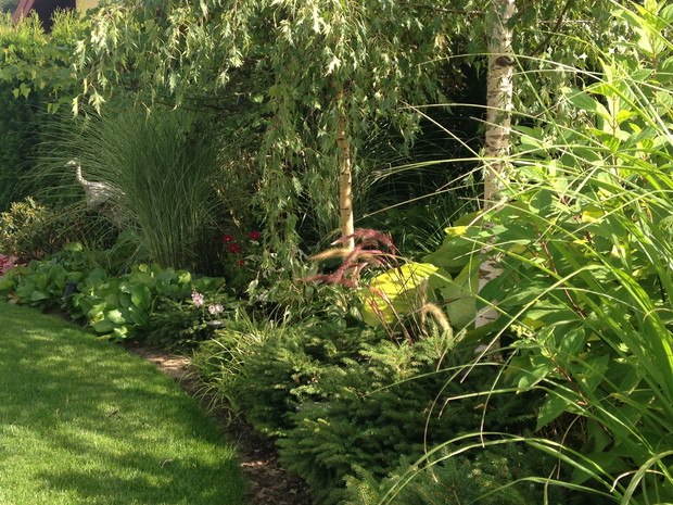 Lubię białe pnie zatopione w gąszczu zieleni