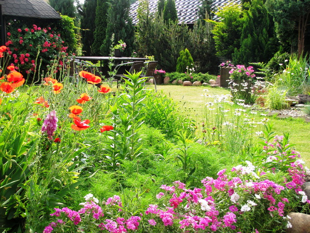 Majowo- czerwcowa rabata przed zakwitnięciem floksów.