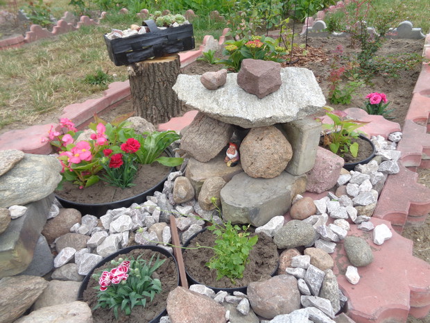 O te kwiaty dba krasnal.