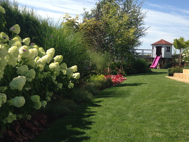 Obok hortensji delikatne szumią miskanty i turzyce