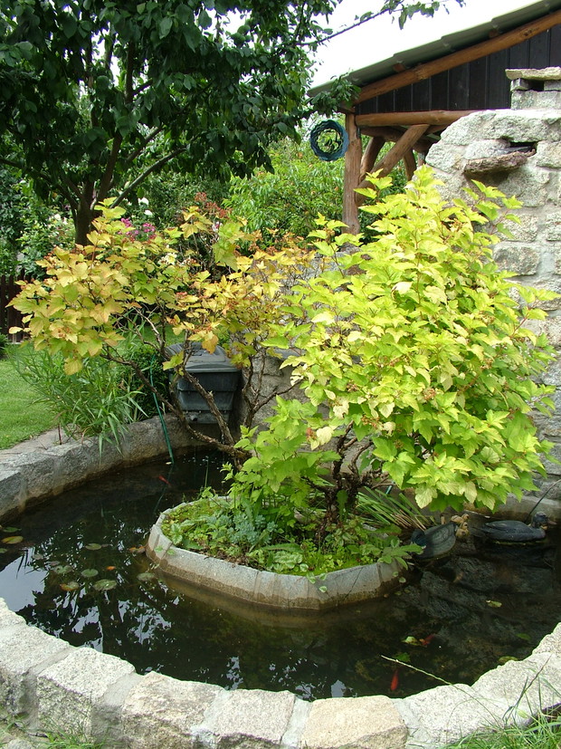 Oczko wodne z wysepką i kaskadą, w tle altanka letnia