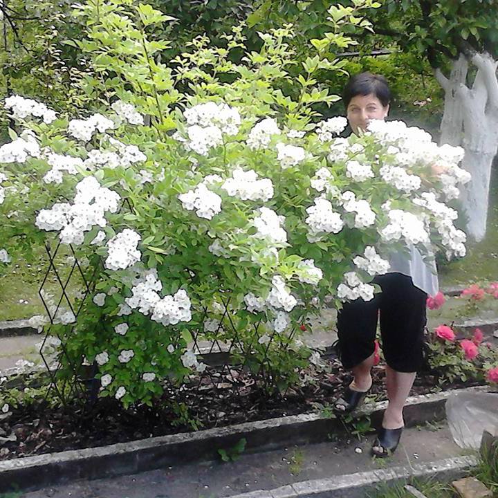 Oto ja wśród moich ukochanych różyczek :)