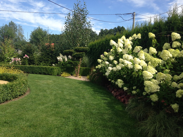 Patrząc za siebie widzimy zakątek między innymi  ze świerkami, brzozami, strzyżonym bukszpanem i cisa z czterema chmurkami. Śmiejemy się że mamy tyle cisowych chmurek ilu synów :)
