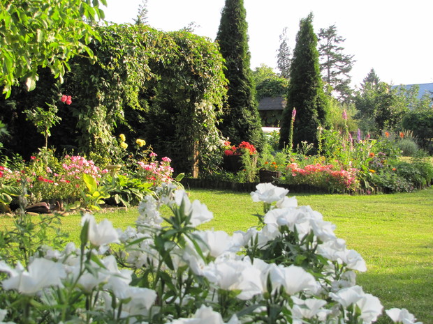 Pergola z winobluszczu otwiera wejście do ogródka z warzywami  i  jagodnika.