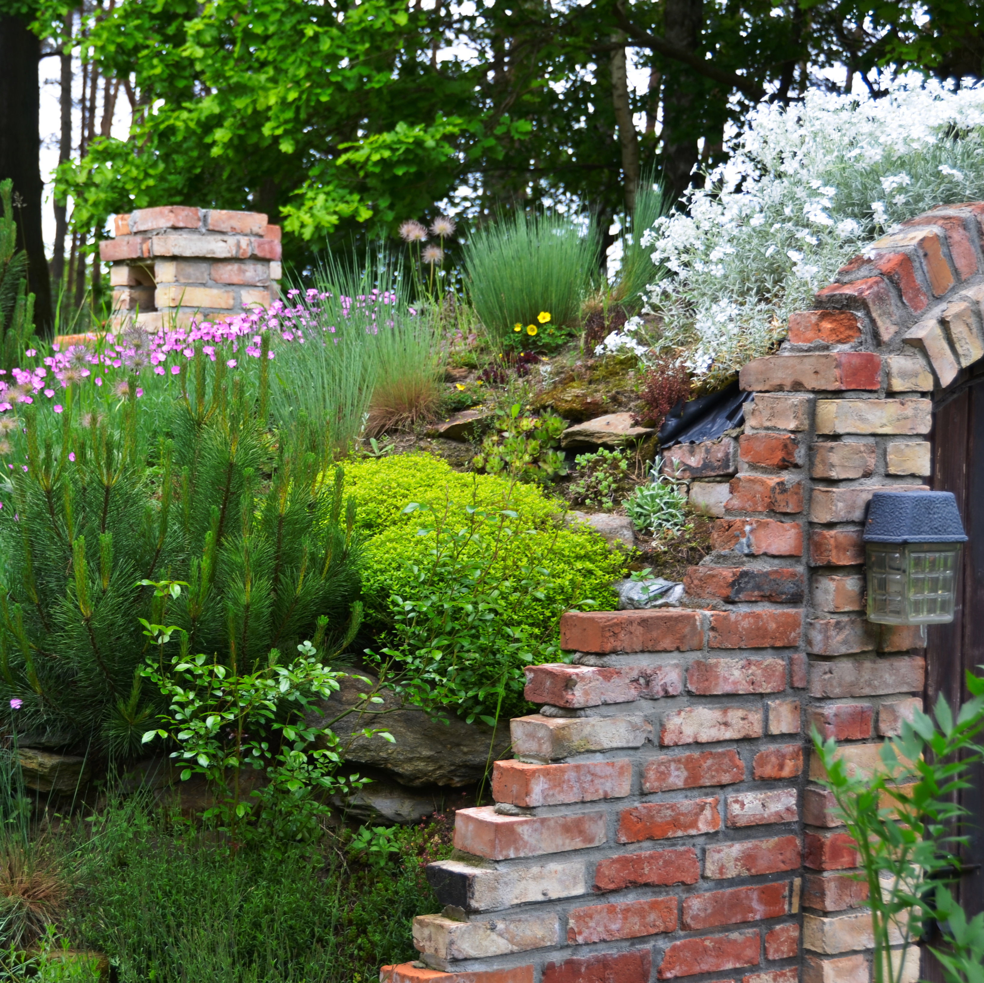 Piwniczka na przetwory -skalniak