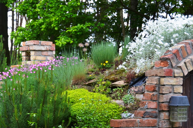 Piwniczka na przetwory -skalniak