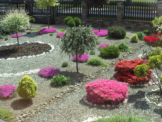 Pora kwitnienia goździków majowych i azalii