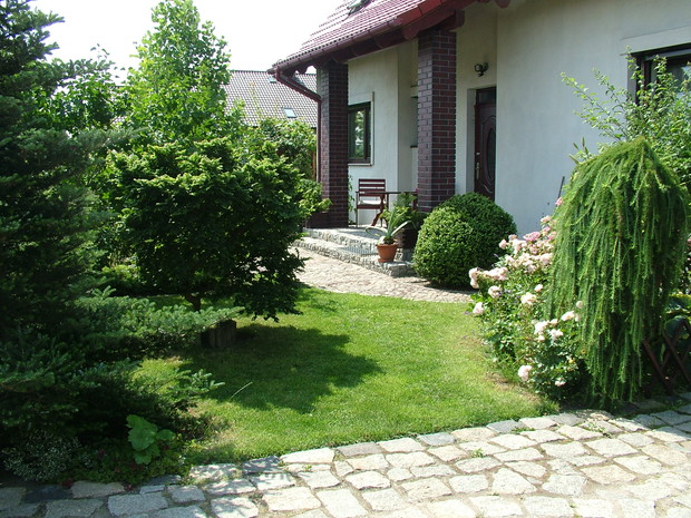 Przedogródek, a w zasadzie jego prawa strona, wcześniej kwitną tu przepiękne łubiny