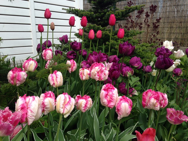 Przy domku narzędziowym