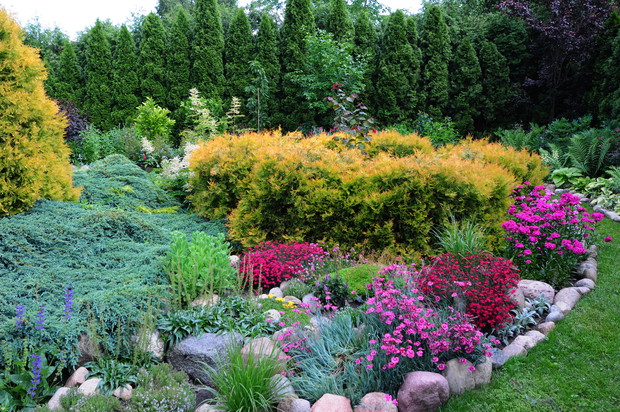 rabata z goździkami