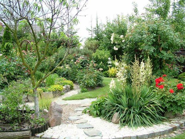 Rabata z jukkami, różanka i skalniaczek