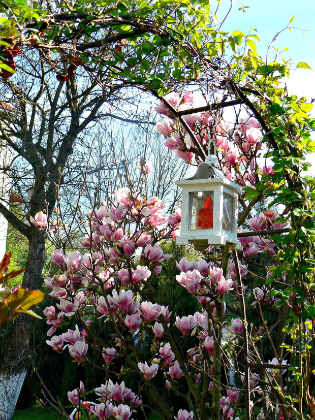 Romantyczny zakątek.