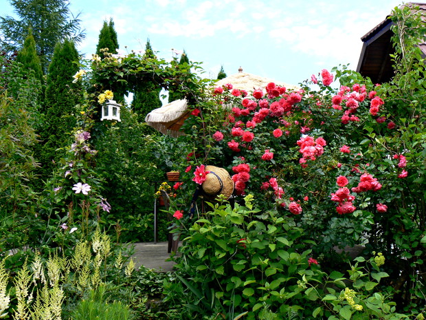 Różany Gaj - miejsce wypoczynku i spotkań rodzinnych.