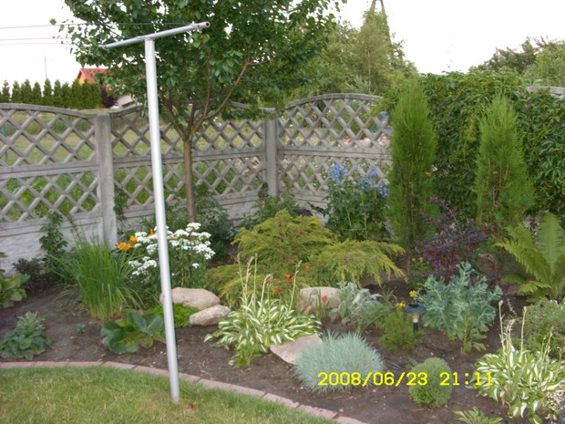 Różnorodność roślin