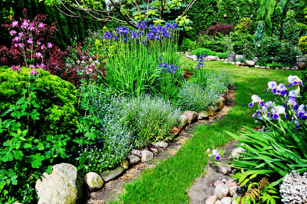 ścieżka wokół dmu