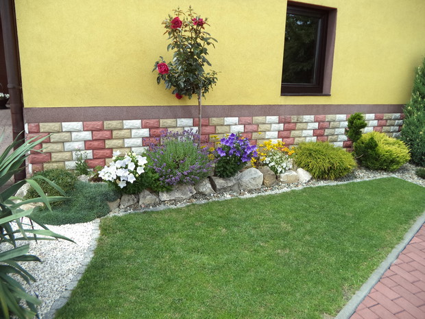 Skalniak przy ścianie