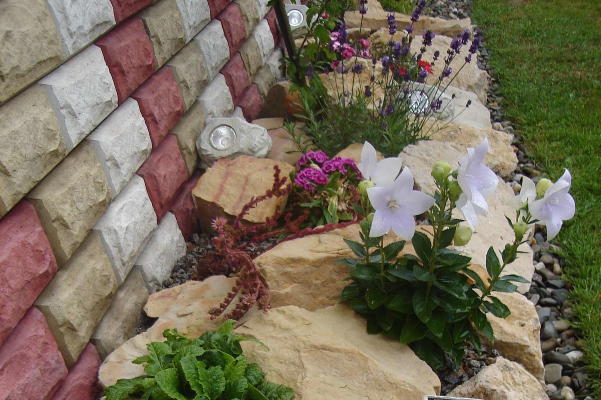 Skalniak z piaskowca