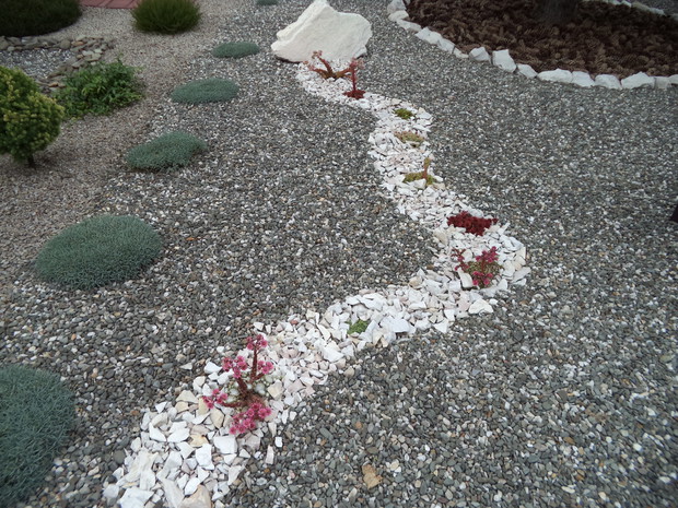 Sucha rzeka z rojników