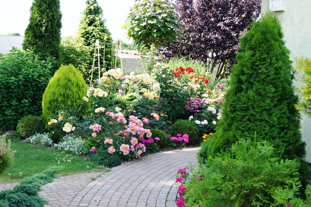 Ukwiecona ścieżka do ogrodu