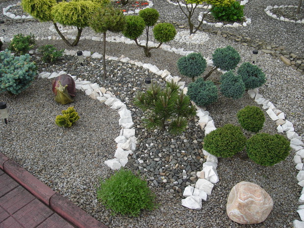 W klombie dominują żywotnik, jałowiec, sosna i cyprysik