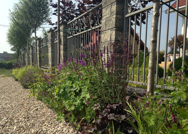 W kolorach fioletu z domieszką różu