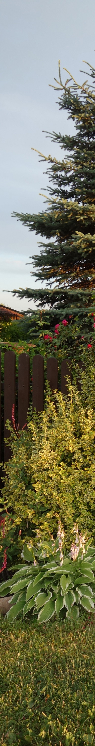 Wejście do naszego zielonego "królestwa"